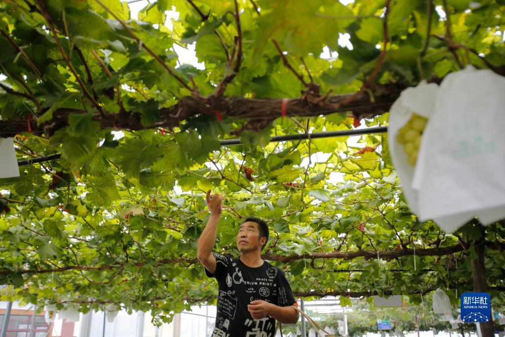 捕鱼游戏外挂下载